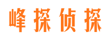 洛隆峰探私家侦探公司